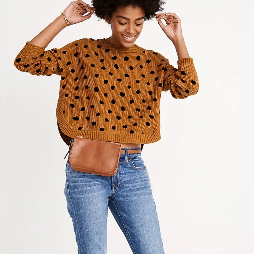 Madewell Painted Spots Pullover Sweater